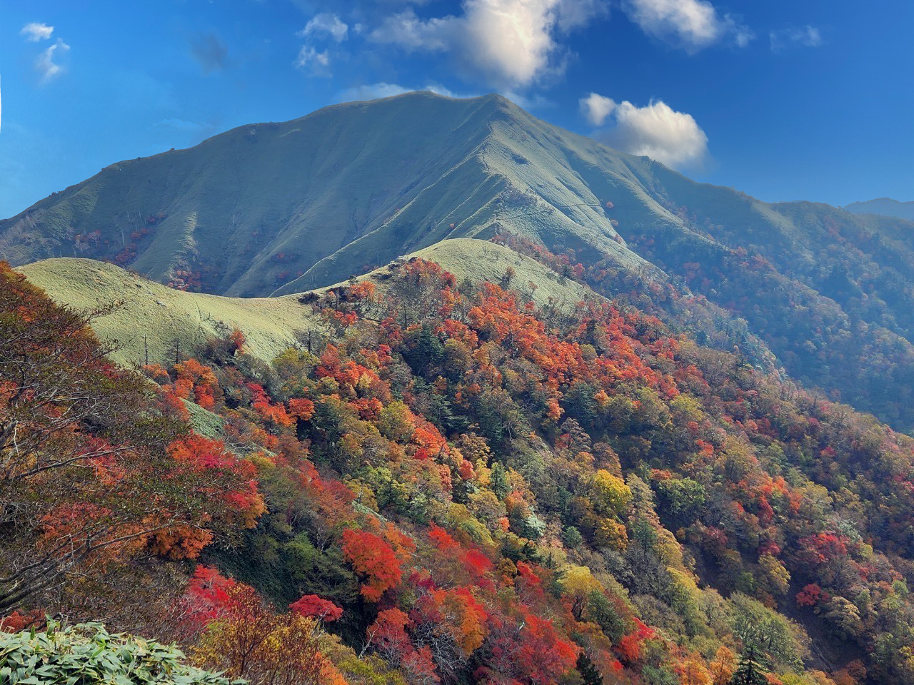 紅葉 2025年】徳島県の秋の魅力を味わう！絶景紅葉スポットのご紹介