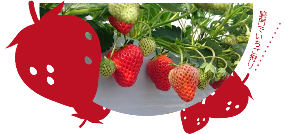 フルーツガーデンゆう