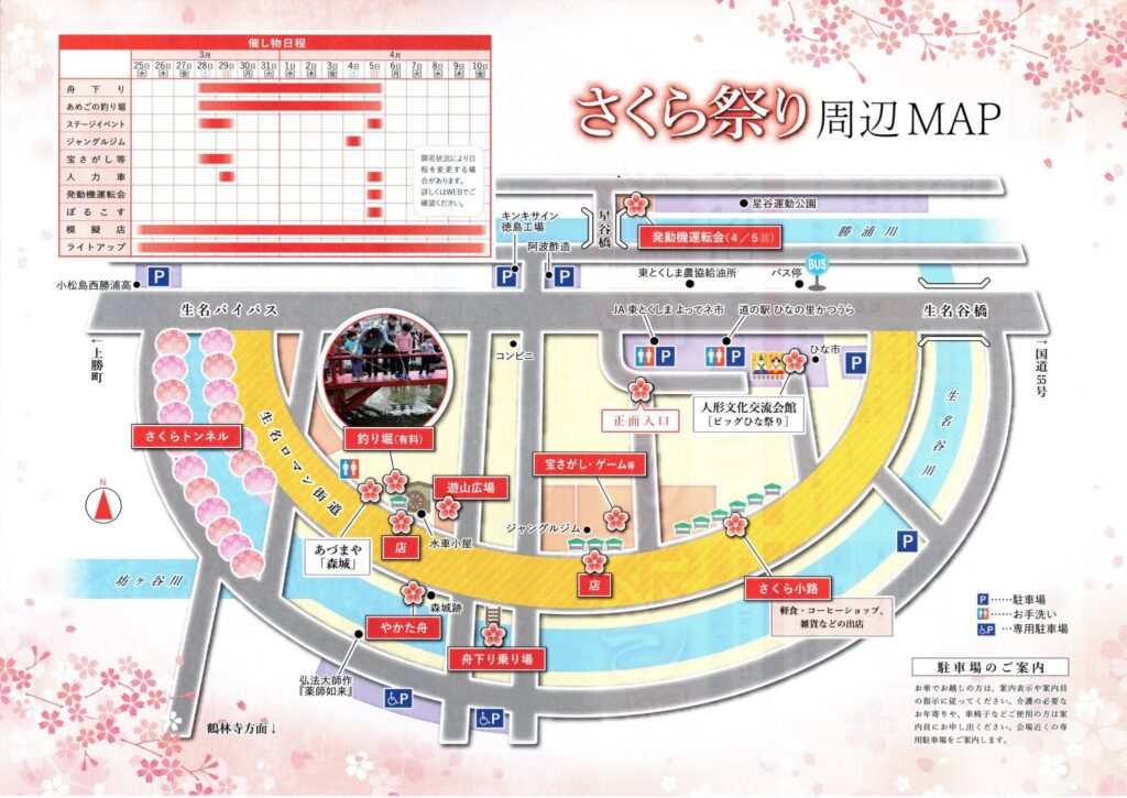 勝浦さくら祭りチラシその2