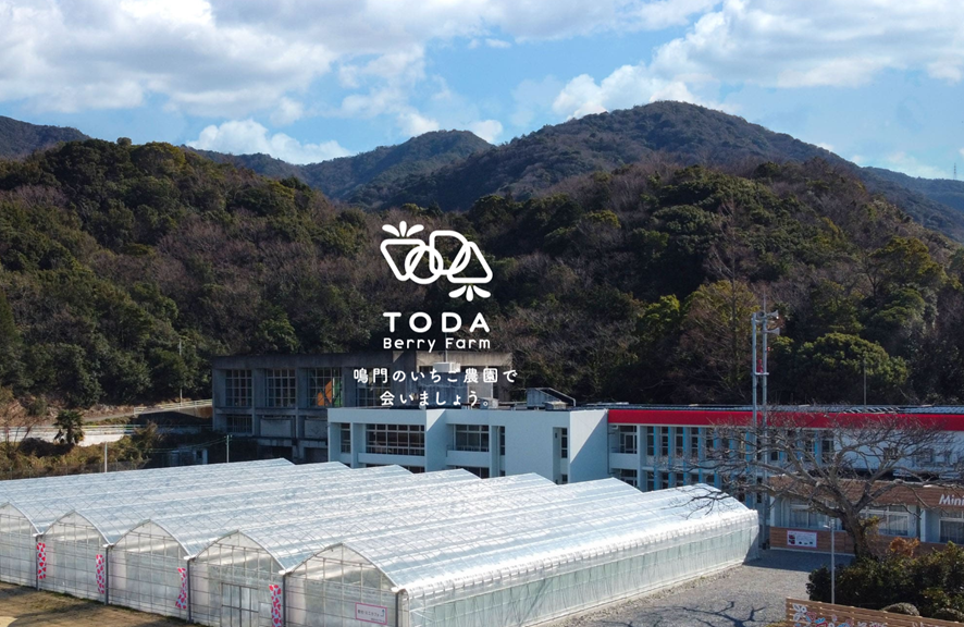 TODAベリーファーム