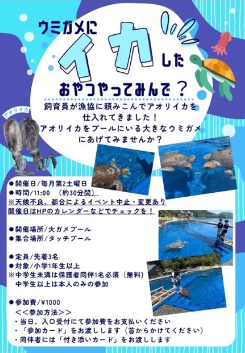 ウミガメにイカしたおやつやってみんで?チラシ