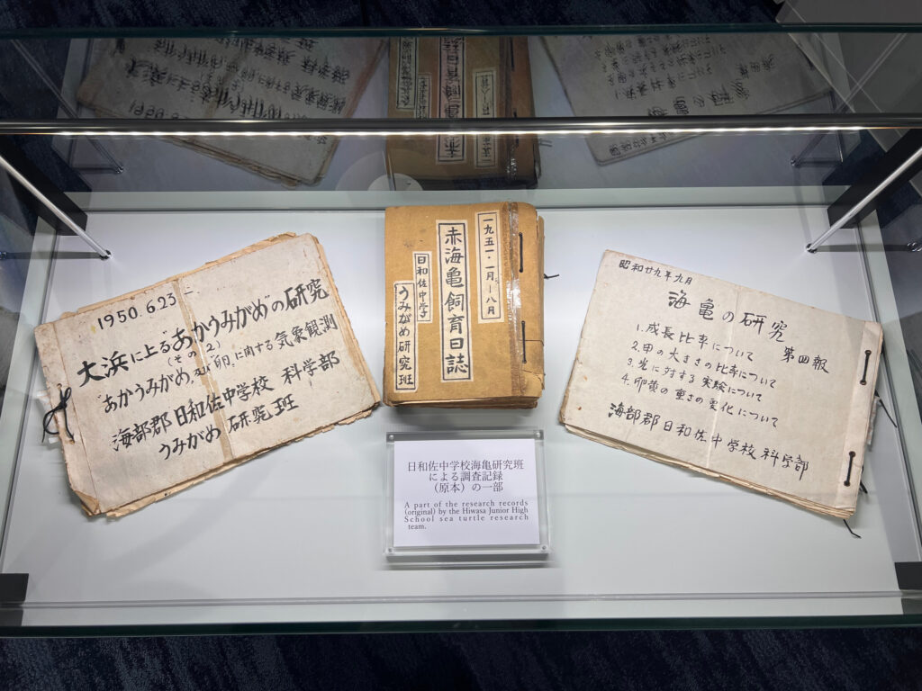 うみがめ研究班日誌展示