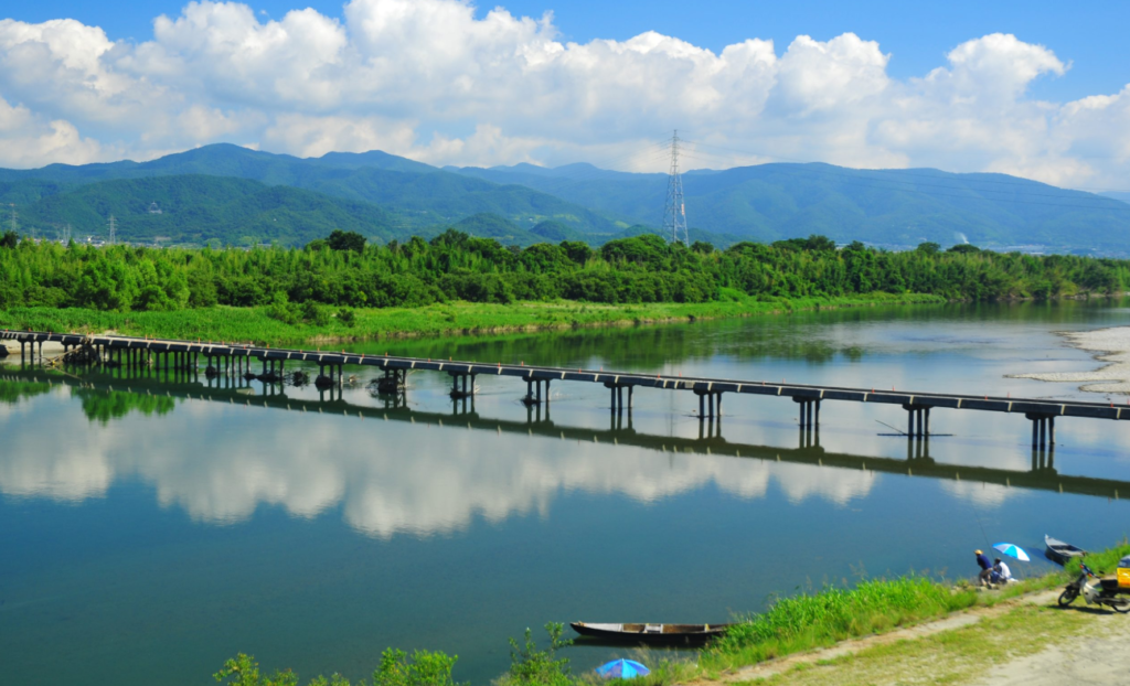 善入寺島　潜水橋